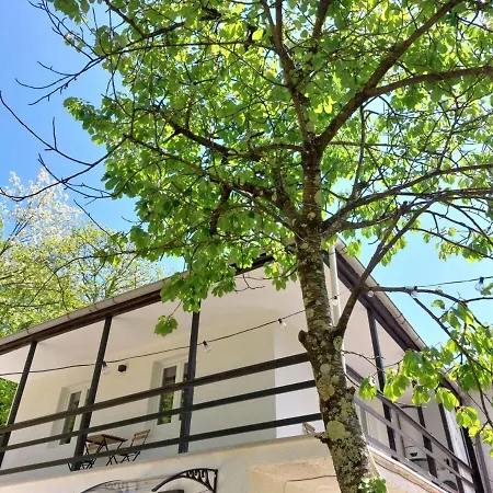 Elegant Tuscany Mountain Villa Momigno